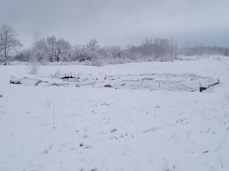 Pivot Kennels