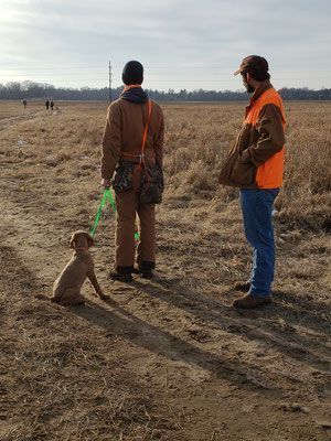 Pivot Kennels