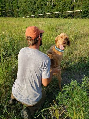 Pivot Kennels
