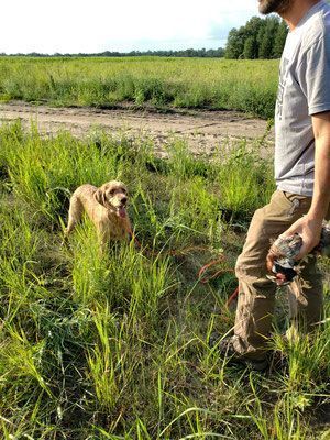 Pivot Kennels