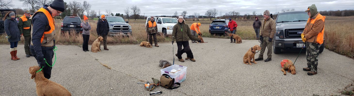 Pivot Kennels