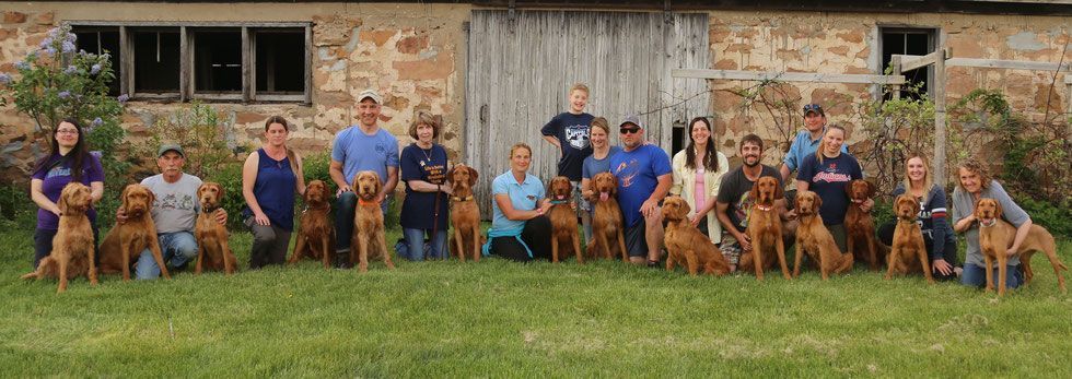 Pivot Kennels