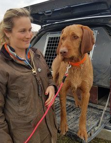Pivot Kennels