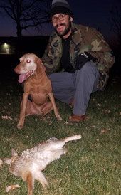 Pivot Kennels