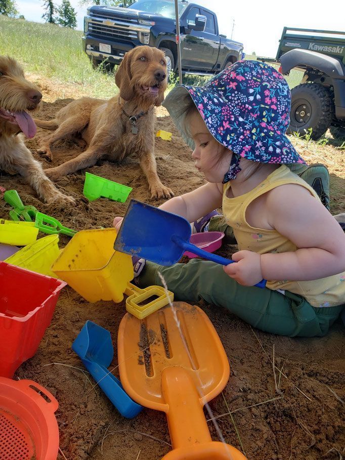 Pivot Kennels