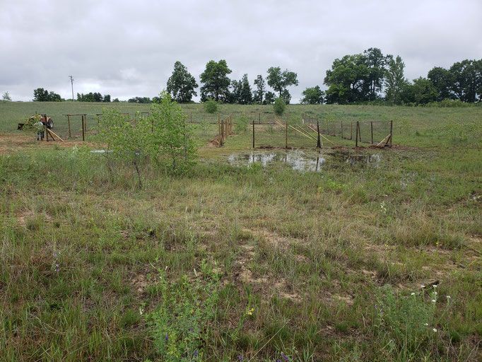 Pivot Kennels