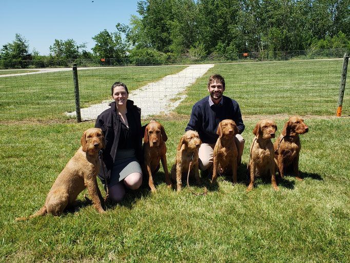 Pivot Kennels