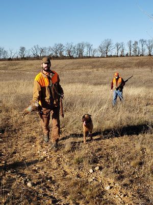Pivot Kennels