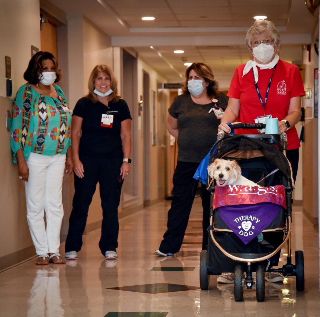 Pet in stroller with nursing staff
