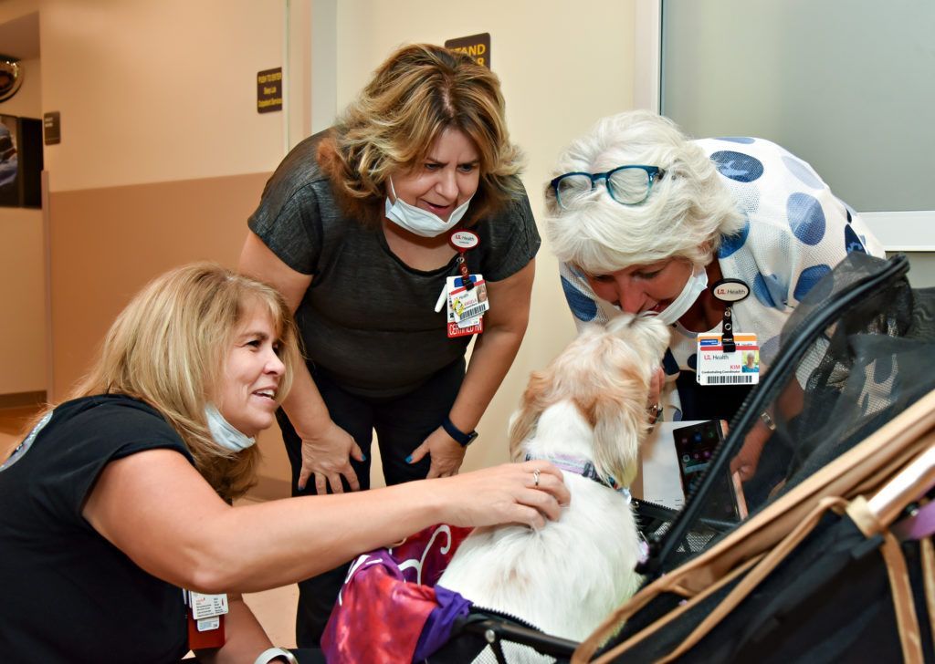 Nurses closely love on terrier therapy pet