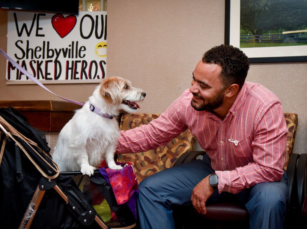 Jack Russel enjoying hospital employee