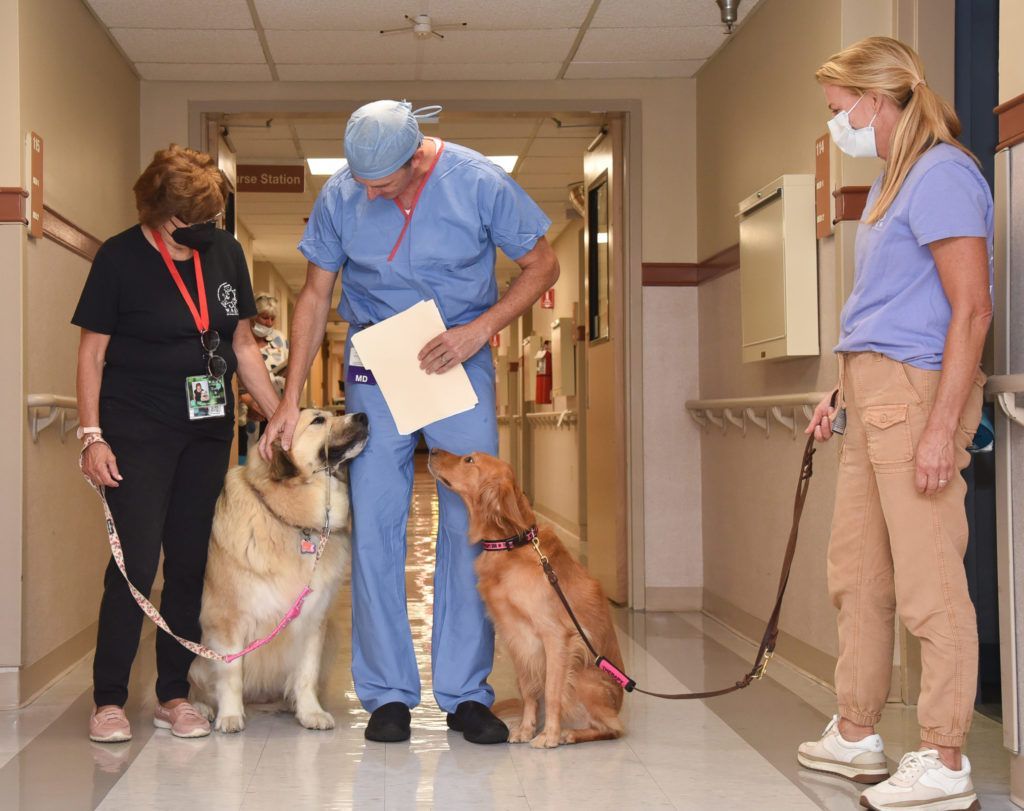 two therapy pets in the hallway with a doctor