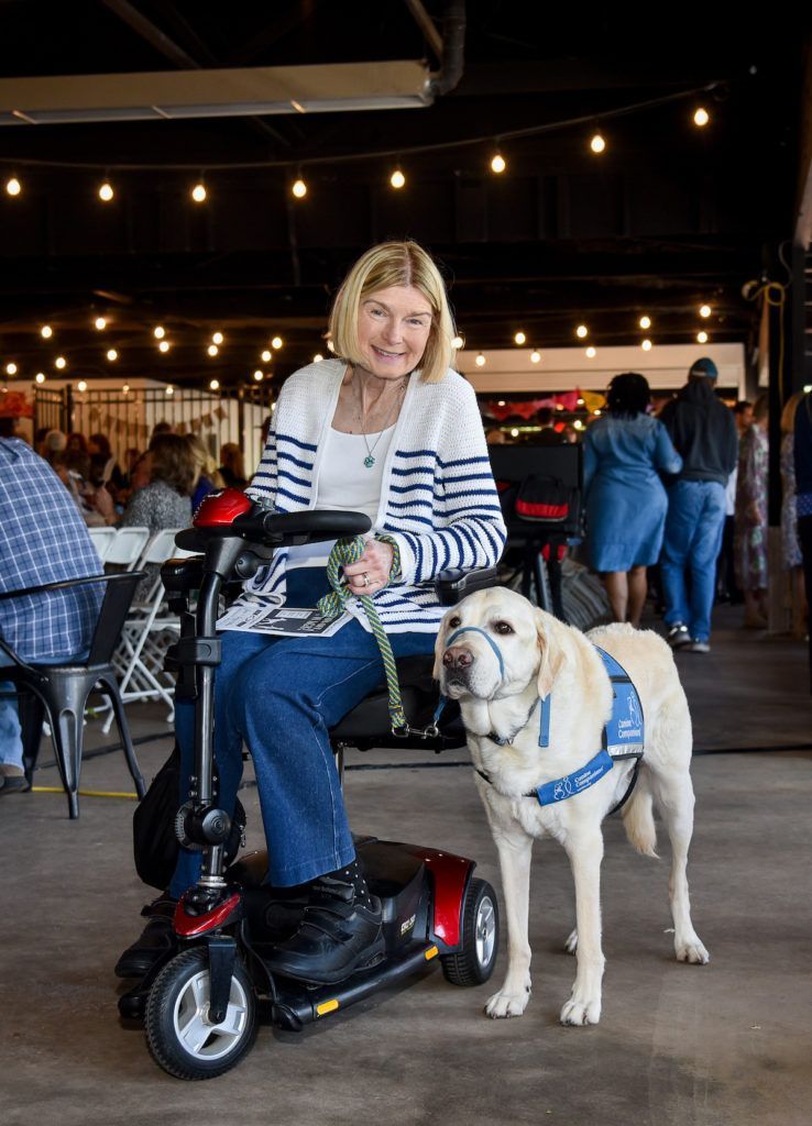 Service dog (Golden Labrador) at a fundraiser