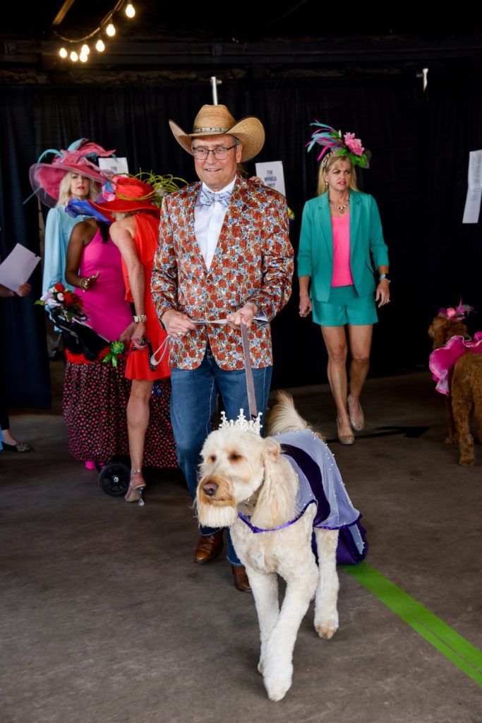 therapy dog runway model with a crown