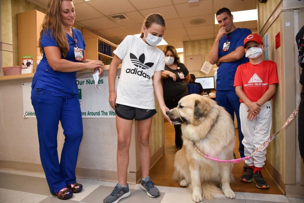 family visitors enjoyng the big therapy dog