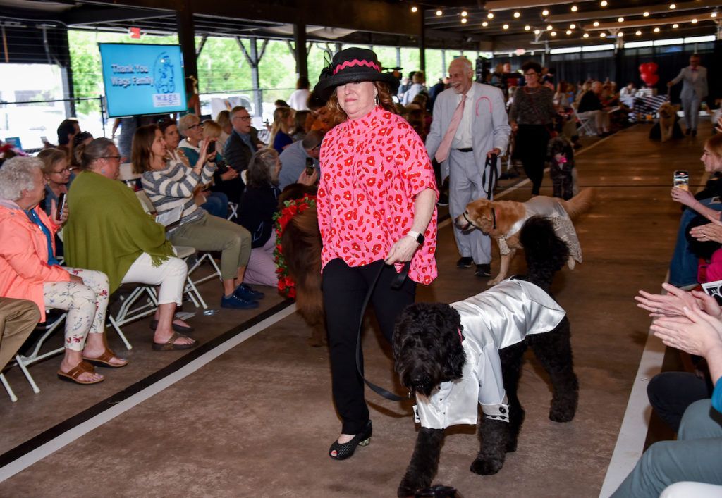 A woman is walking a dog down a runway at a fashion show.