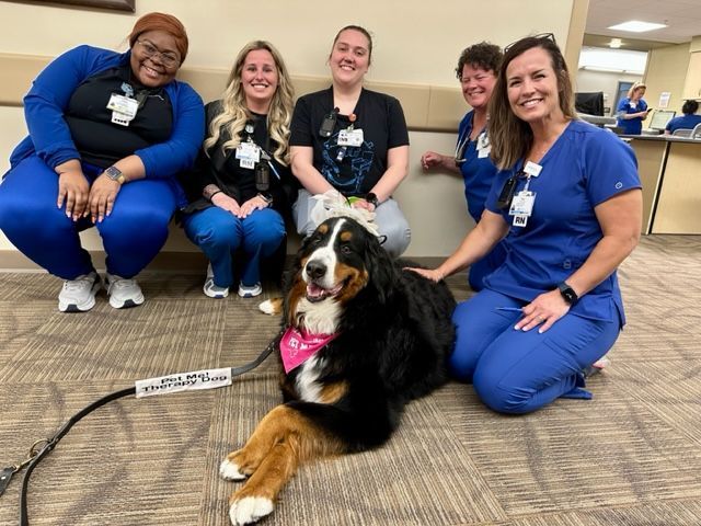 6 Registered Nurses kneeling beside Bernese Mountain  Dog