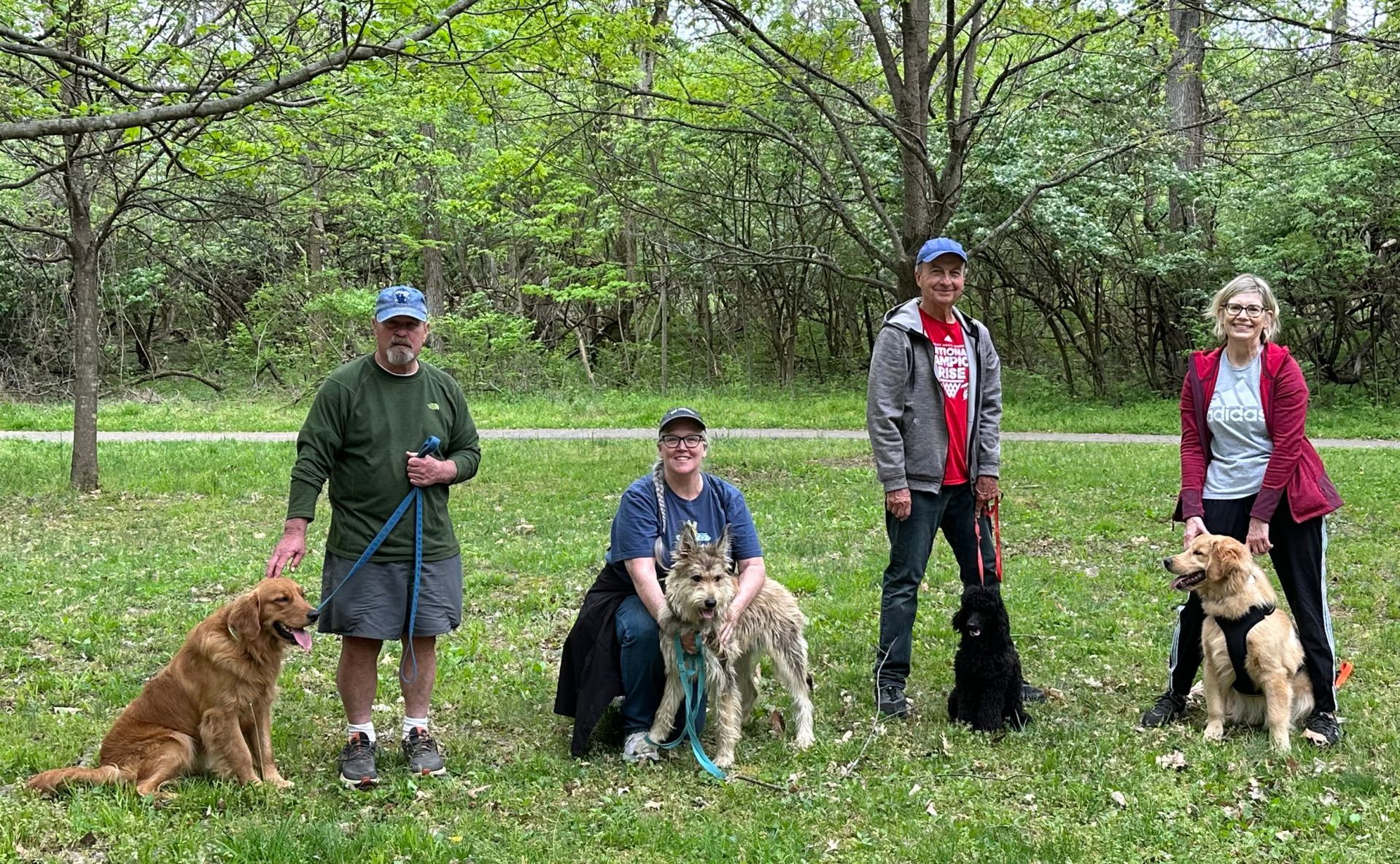 Walk and train in the park pet group