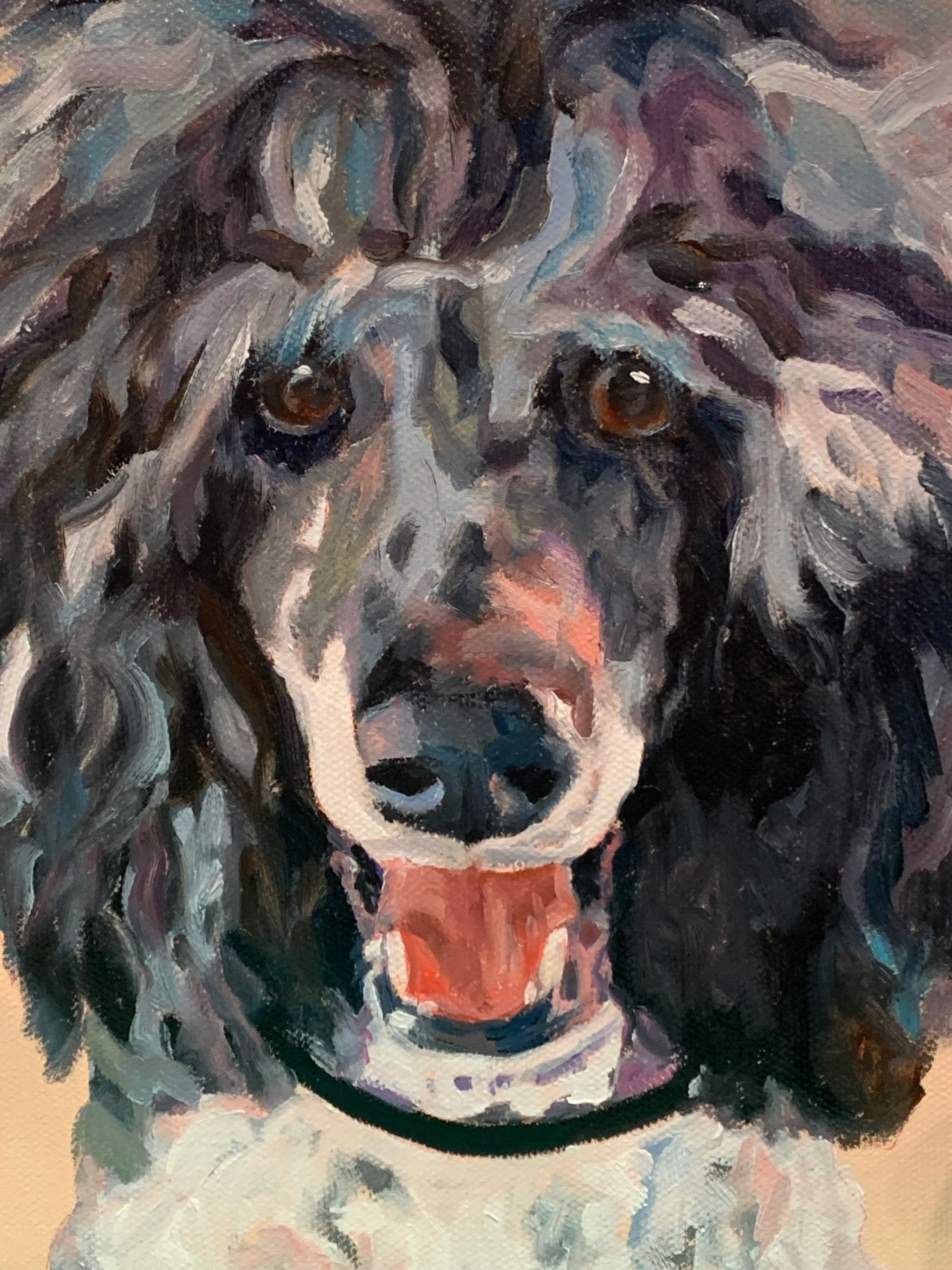 Portrait of JB a Standard Poodle