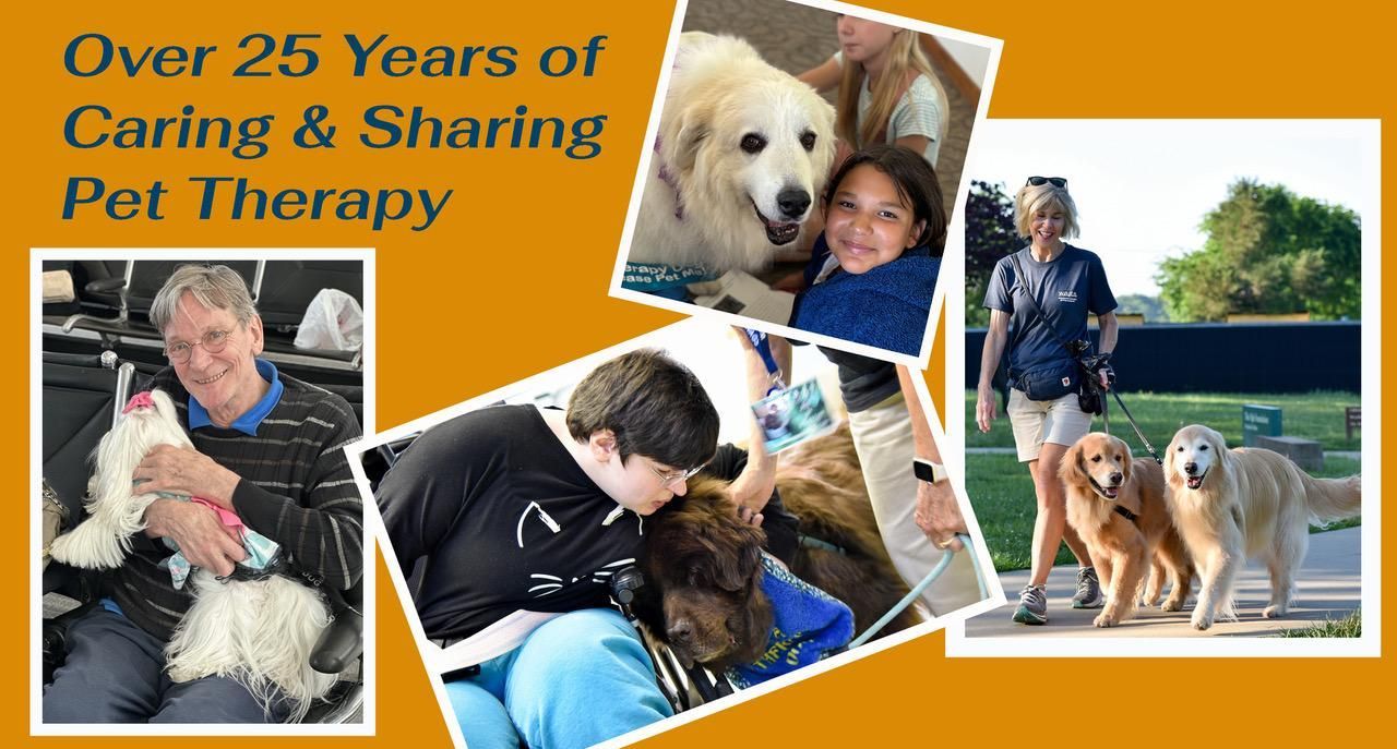 Picture collage of Pets doing their therapy