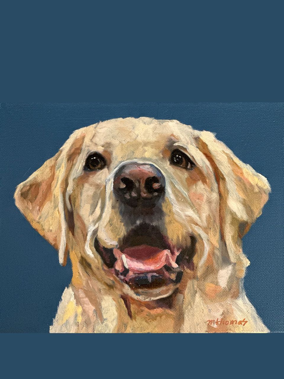Portrait of Zena a Labrador Retriever