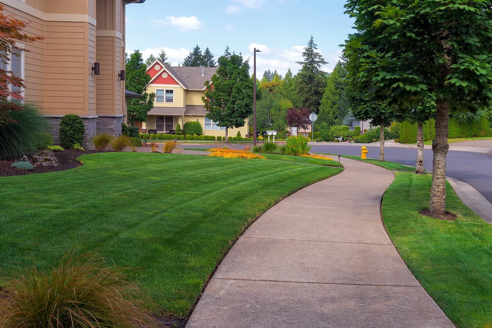Sidewalk curving through green lawn, houses in the background. Bright sunny day.