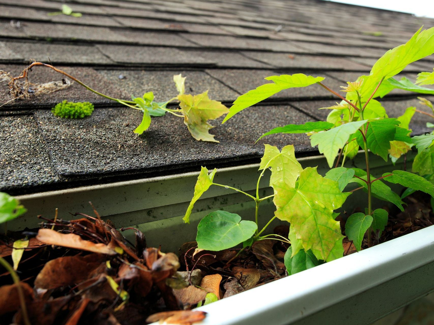 Gutter Cleaning — Roofing in Fresno, CA Gutter Cleaning — Roofing in Fresno, CA