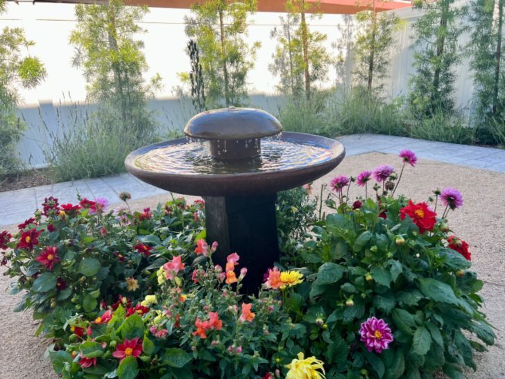 Water fountain surrounded by vibrant dahlias in a garden setting.