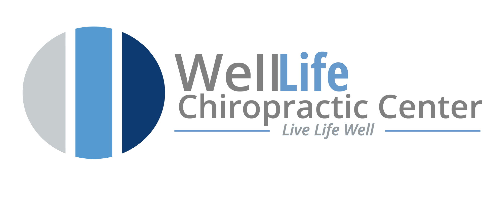 WellLife Chiropractic logo header and footer