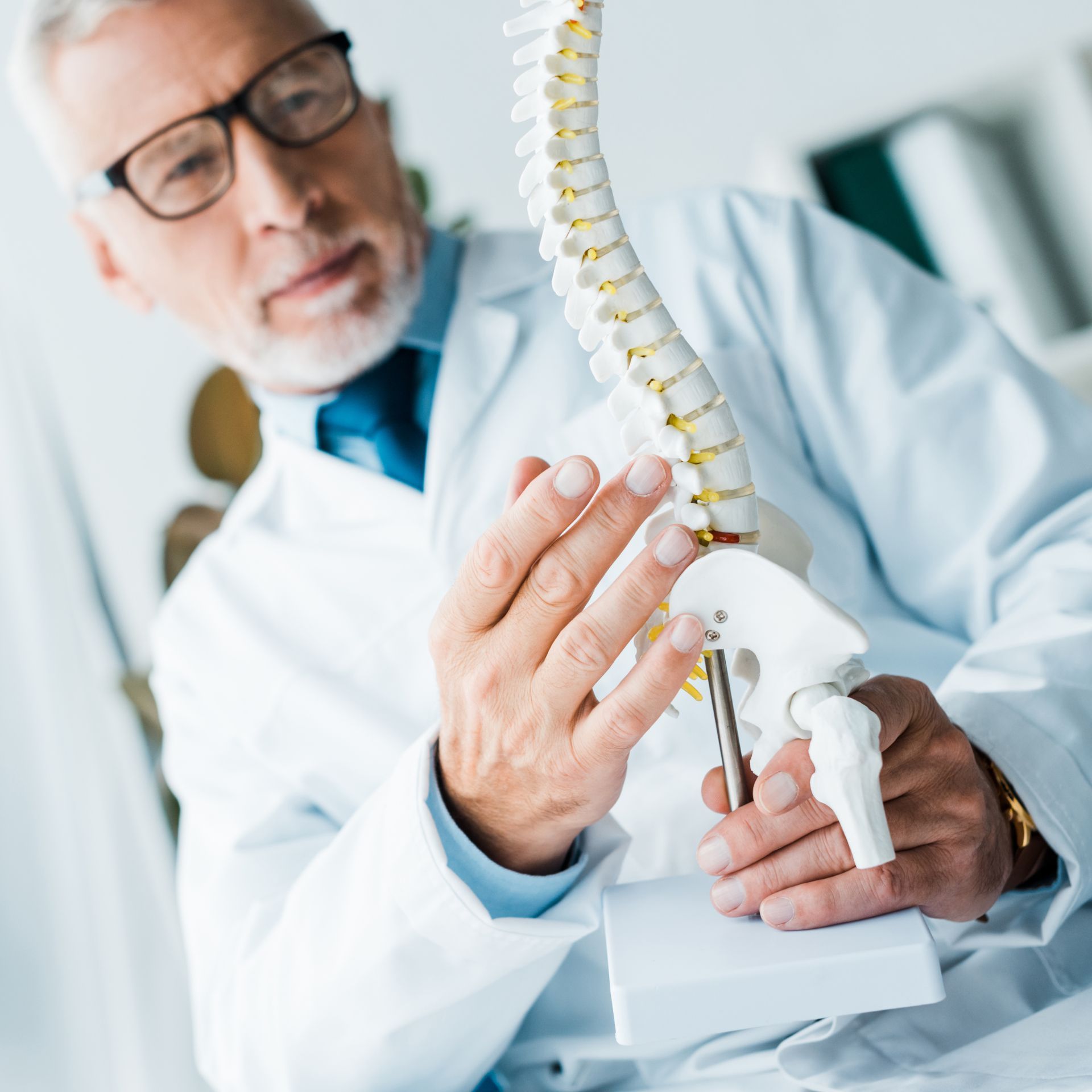 A doctor is holding a model of a spine in his hands. WellLife Chiropractic