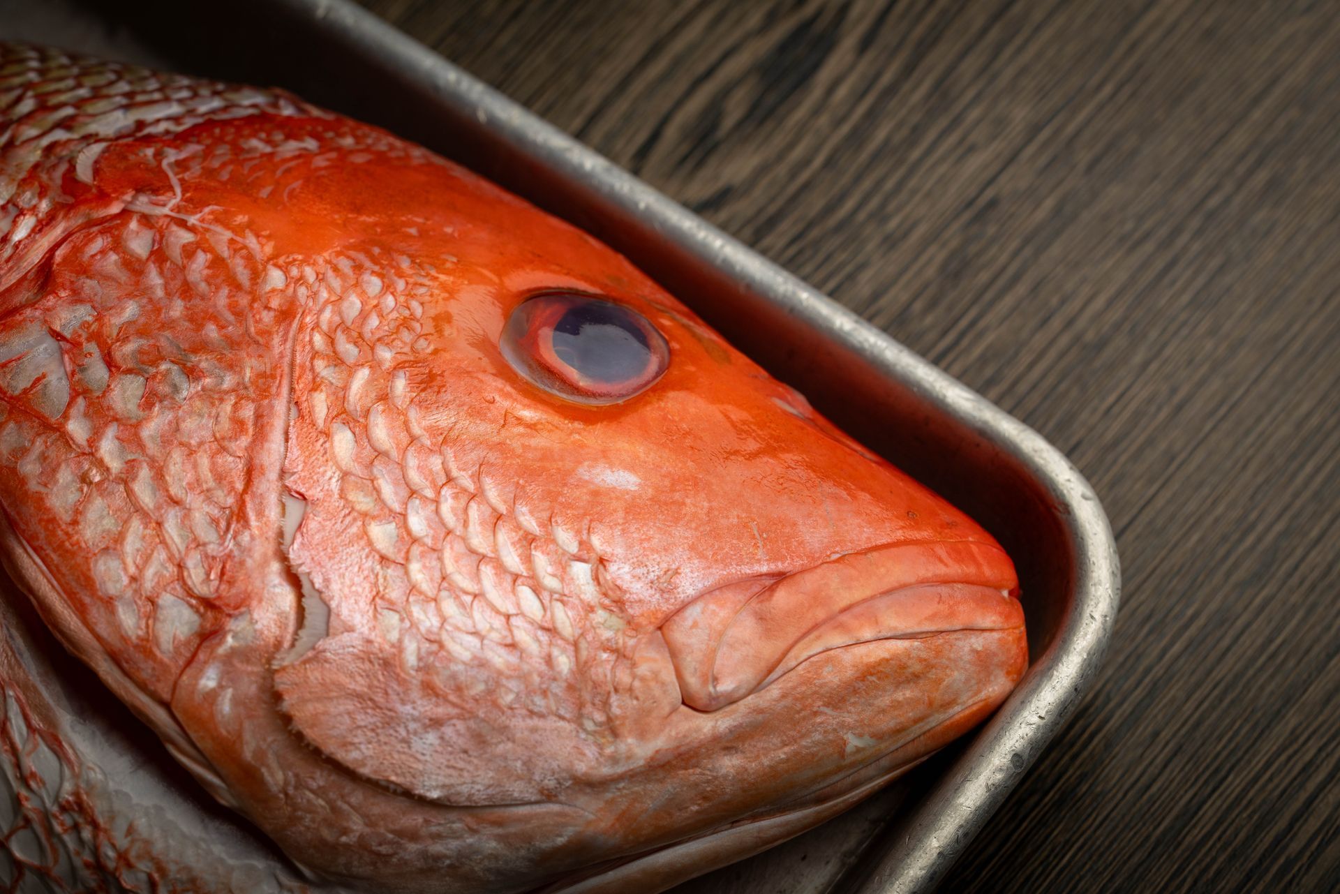 Red fish head in a metal tray on a wooden surface