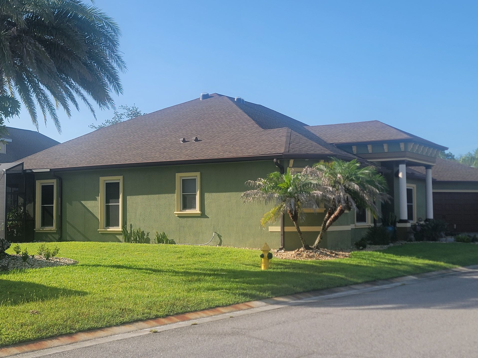 Single-story green house with brown roof, lawn, and palm trees beside a street