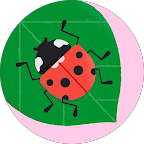Cartoon red ladybug on a green leaf inside a pink circle