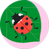 Cartoon red ladybug on a green leaf inside a pink circle
