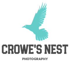 Teal silhouette of a crow in flight above text 