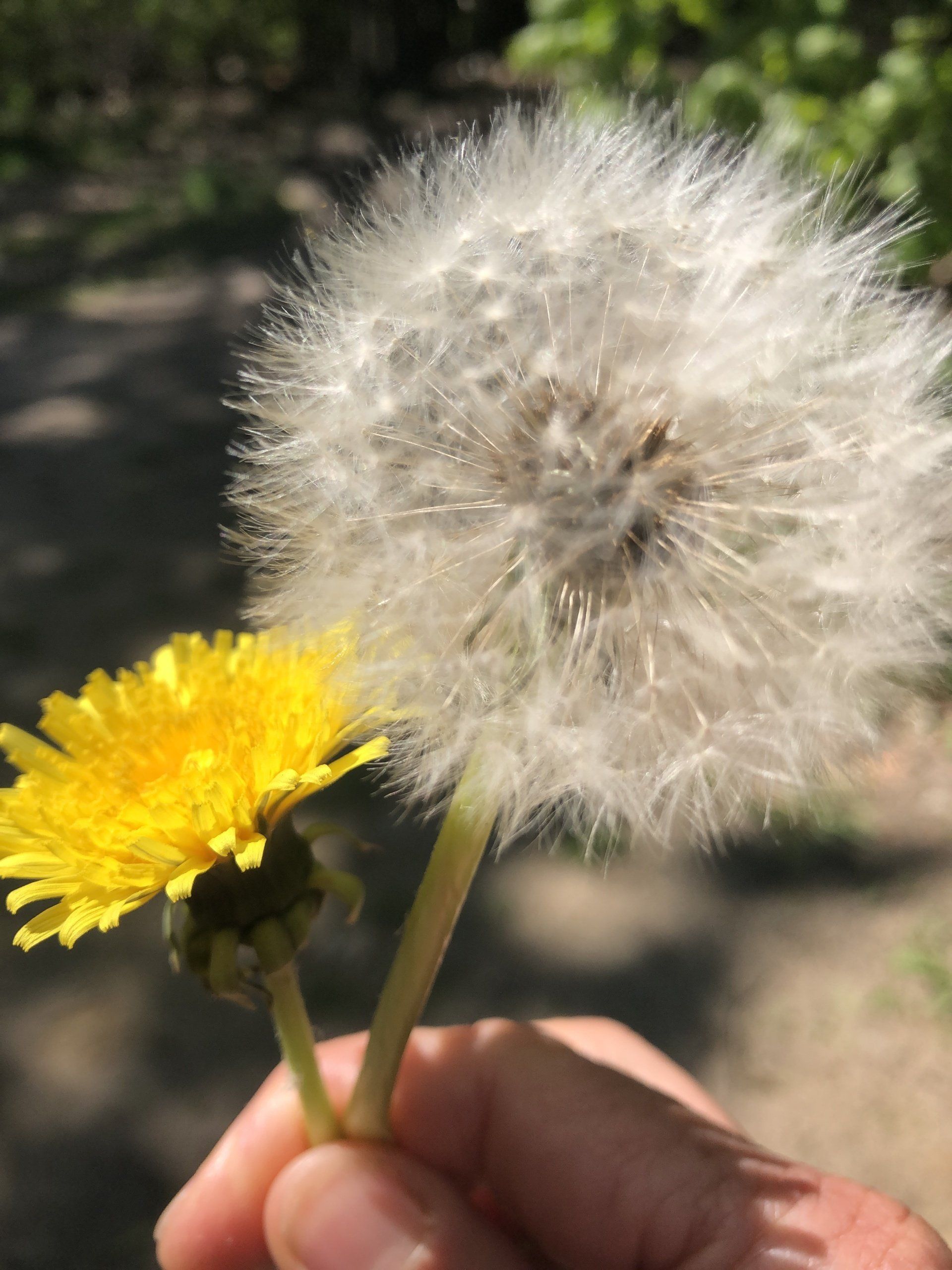 Genieten van de natuur