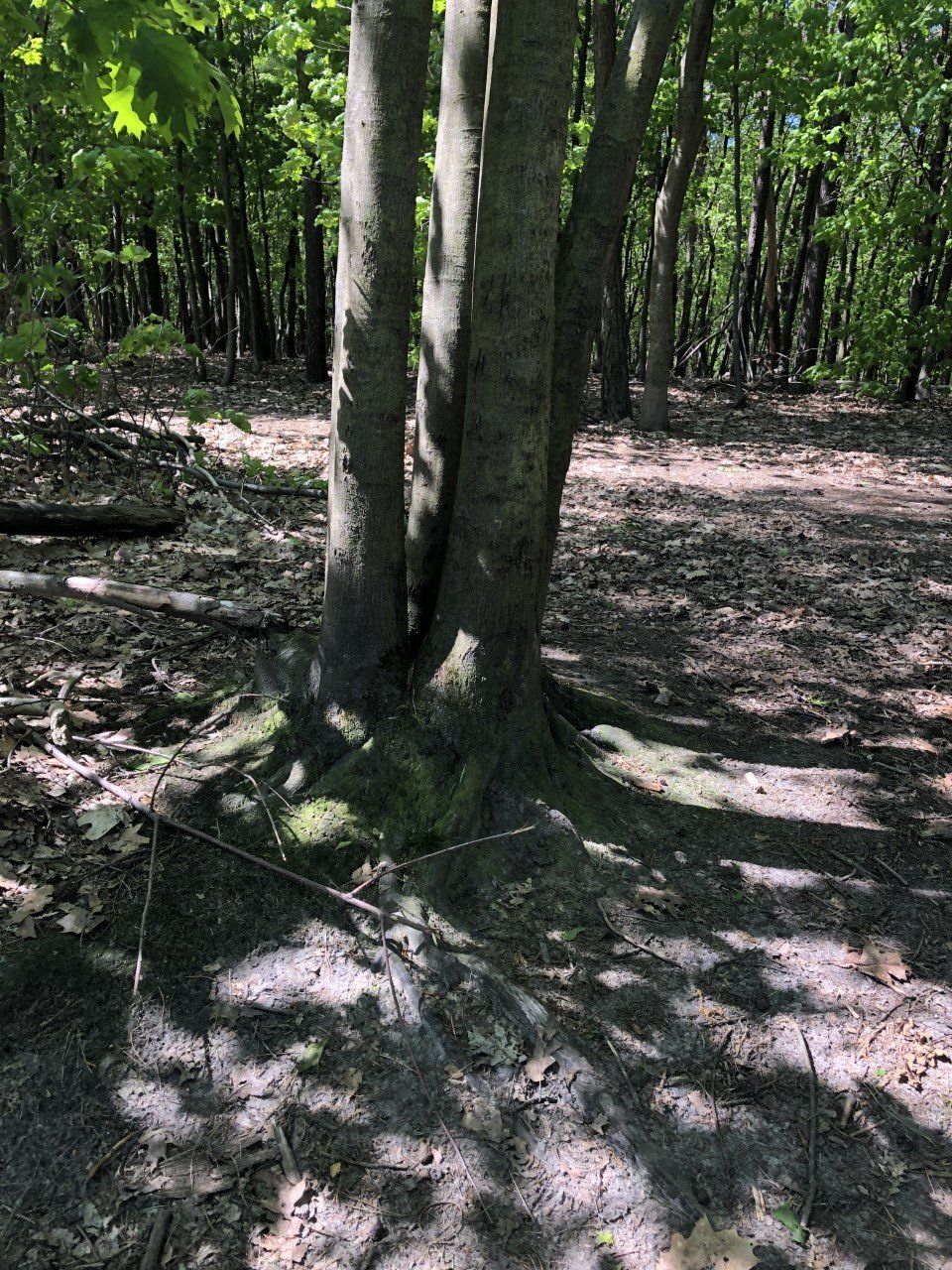 Genieten van de natuur