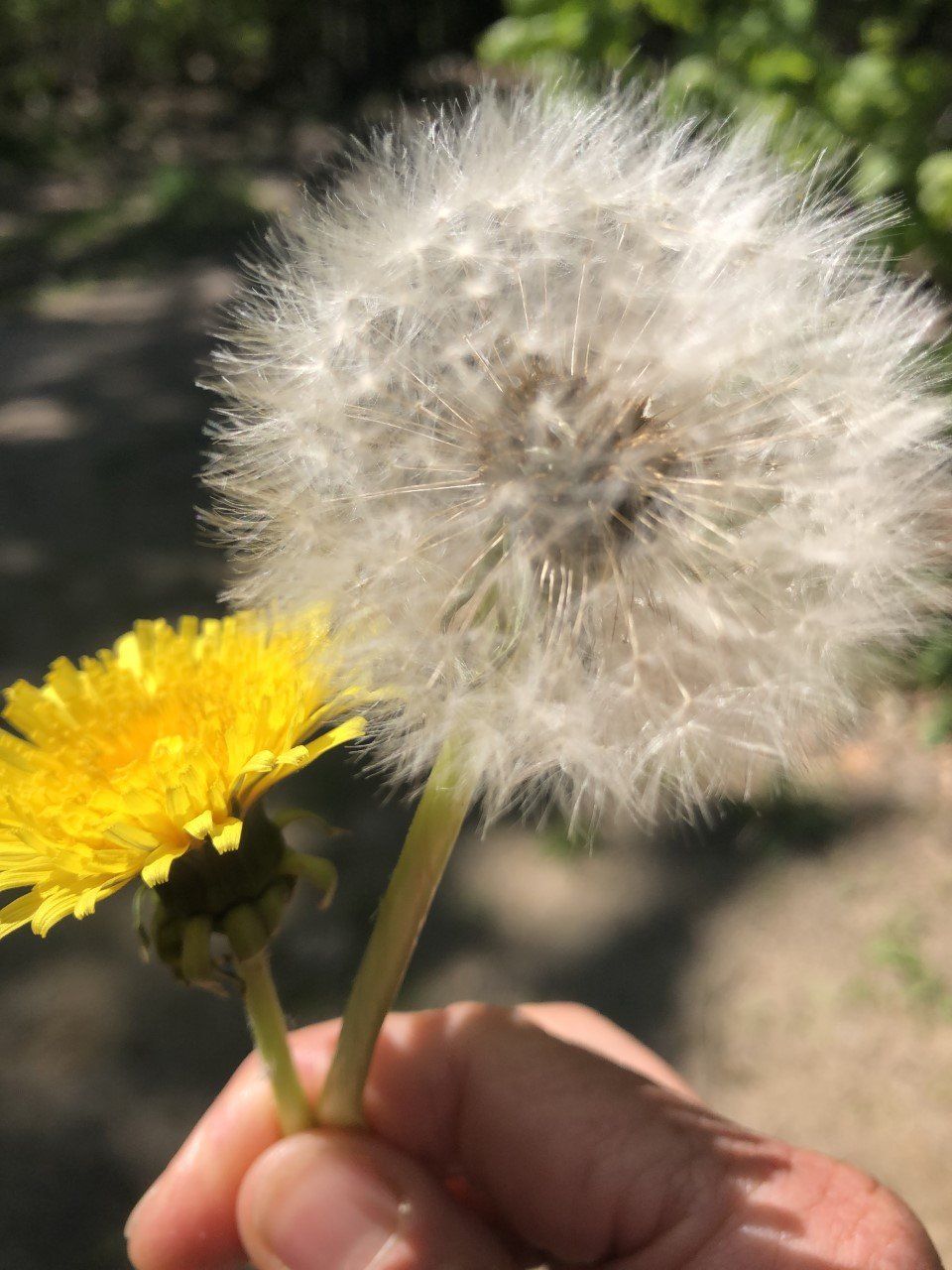 Genieten van de natuur