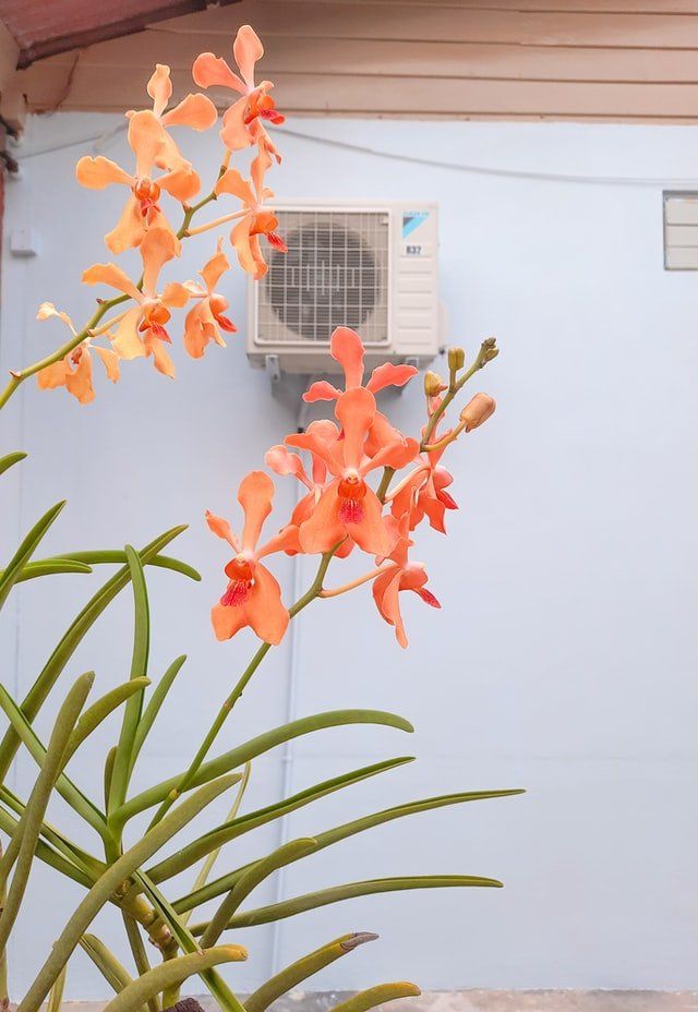 heating repair services in Georgetown, DE
