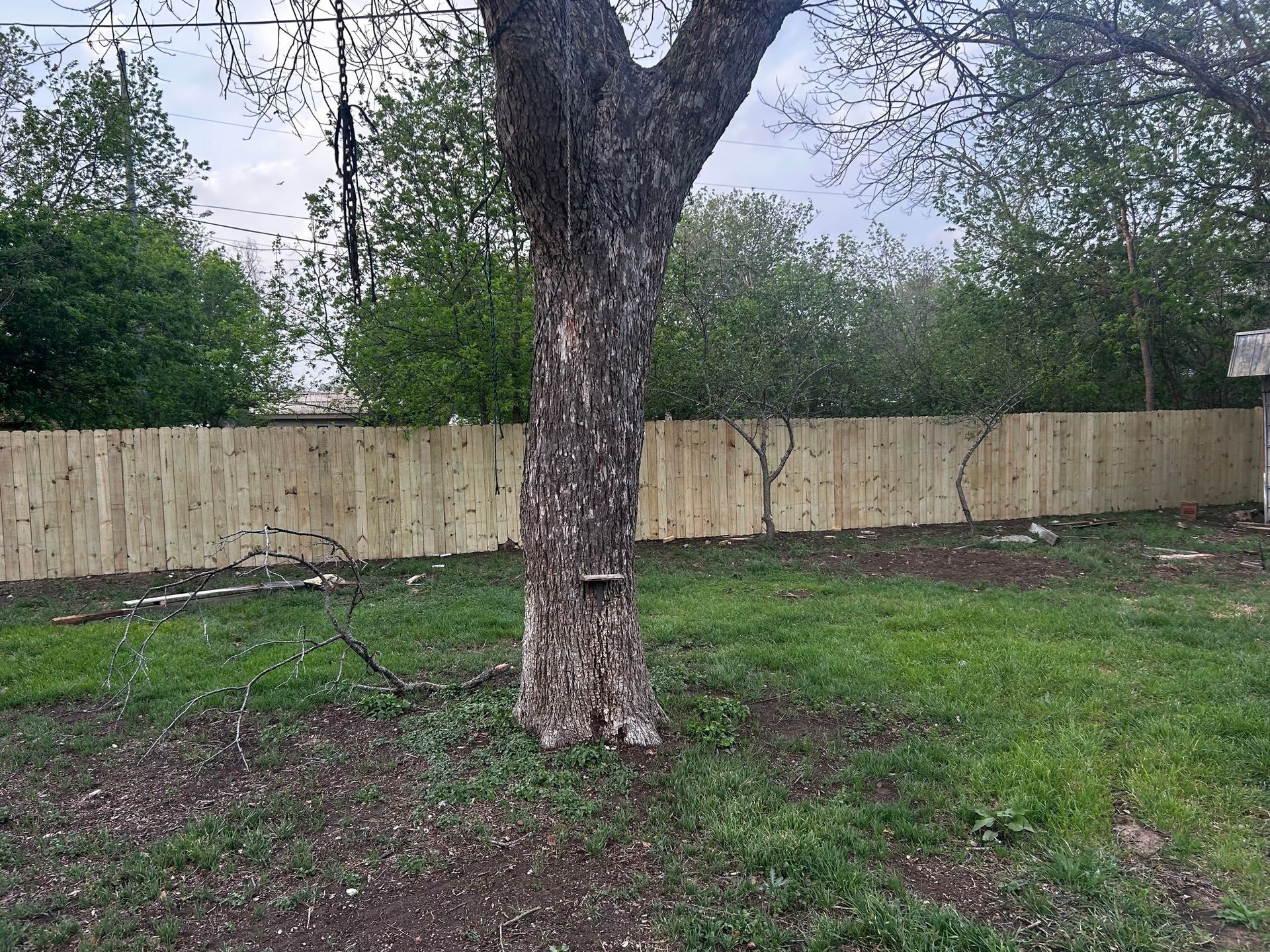 Tree trunk in front of a new wooden fence, green grass, and trees in the background under a cloudy sky.