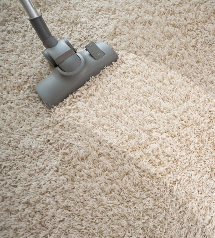 Vacuum cleaner head on cream-colored, shaggy carpet, partially cleaning the fibers.