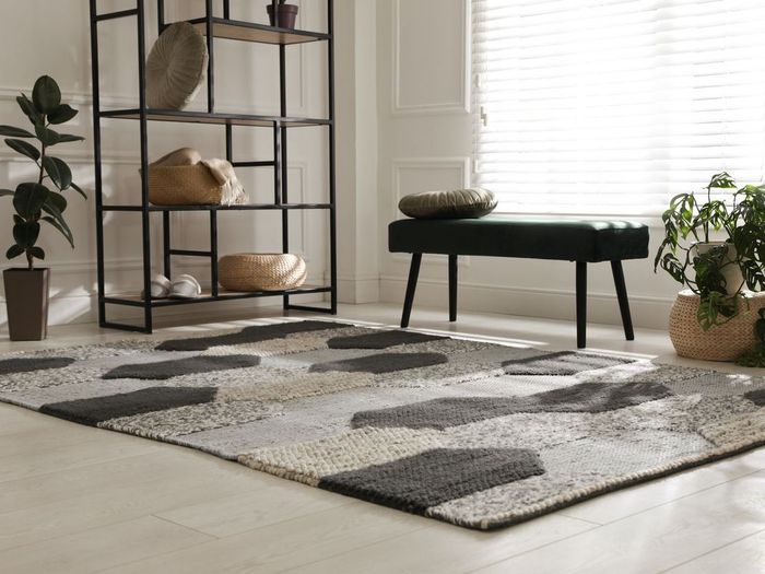 Room with rug, bookshelf, bench, and plants. Rug with gray and tan geometric patterns. Sunlight through blinds.