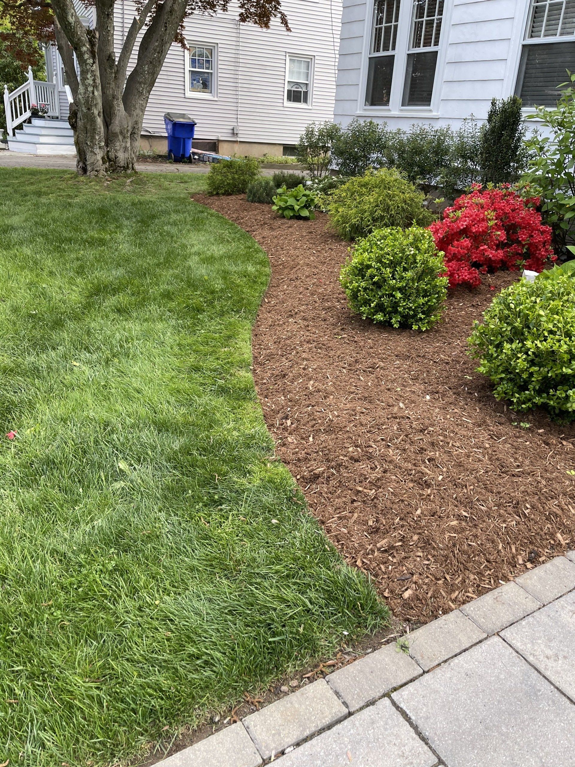 Cedar Mulch Landscape Bed with Natural Edge West Hartford CT