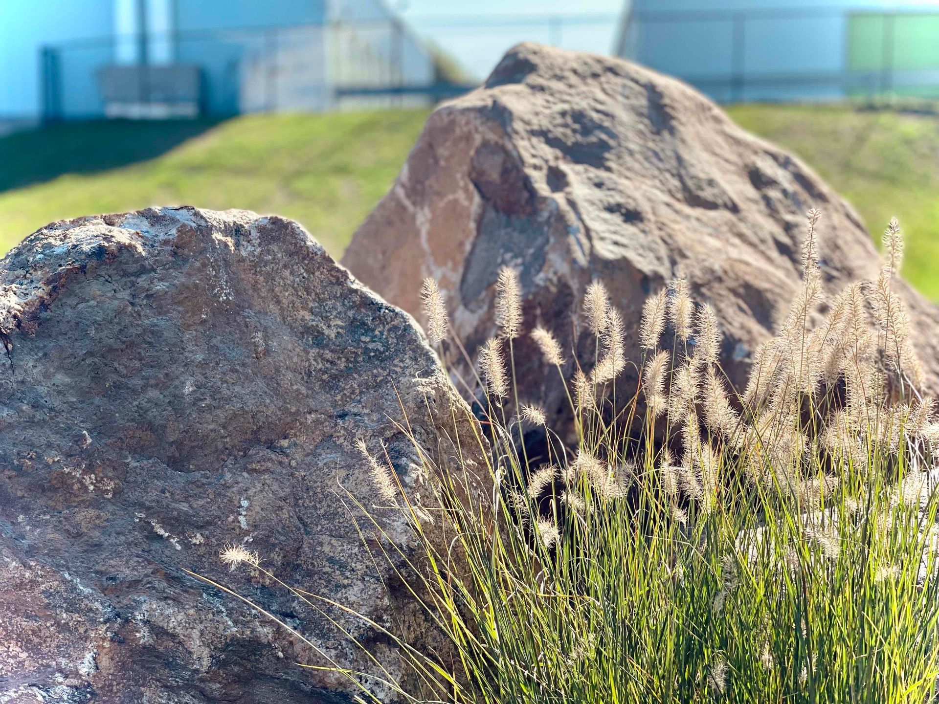 Landscape Boulders and Decorative Grass in Commercial Landscape Installation Hartford County, Connecticut