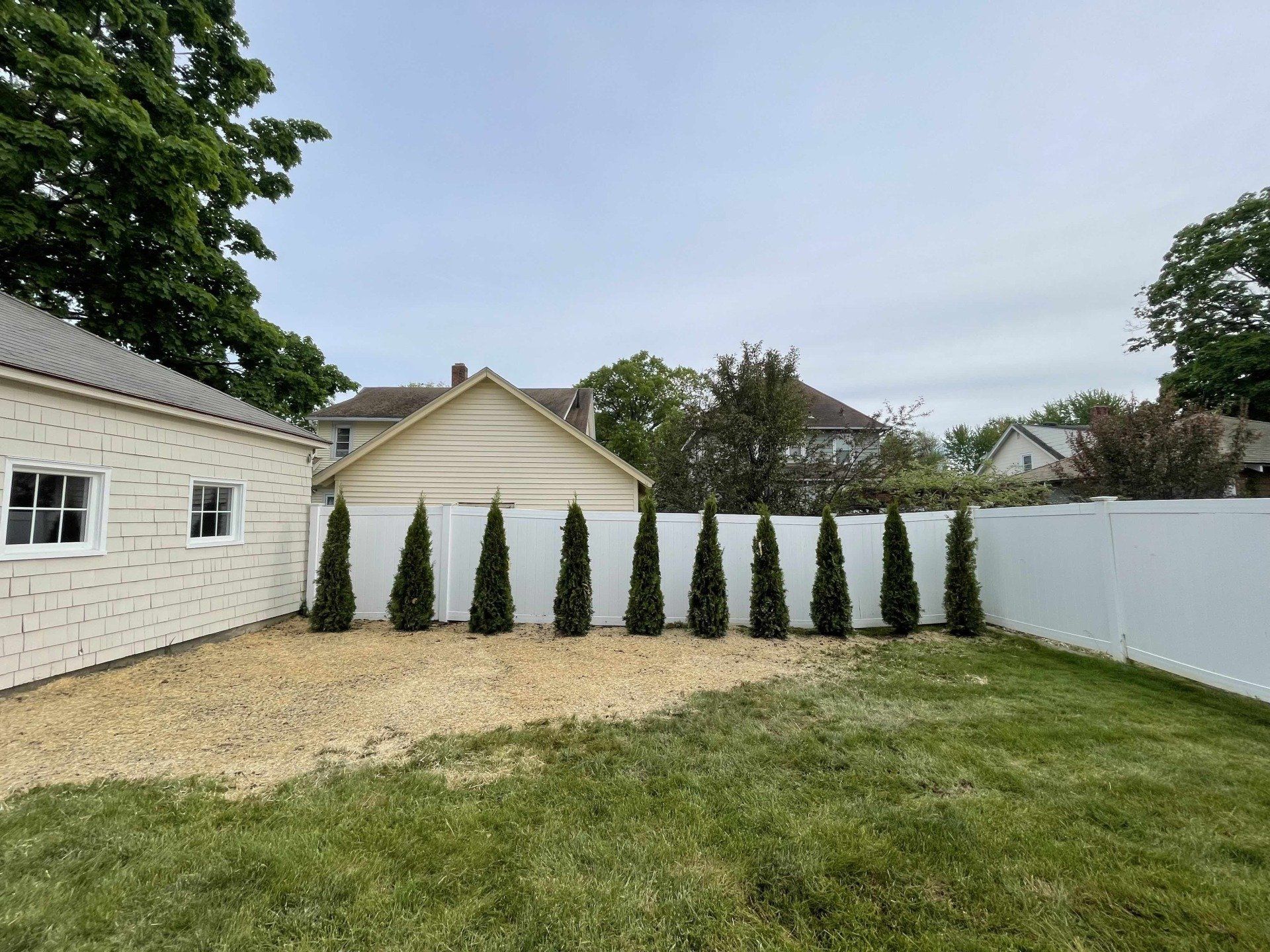 Arborvitae Wall Landscape Installation and Grading work in West Hartford, CT, Connecticut Landscape Solutions, LLC