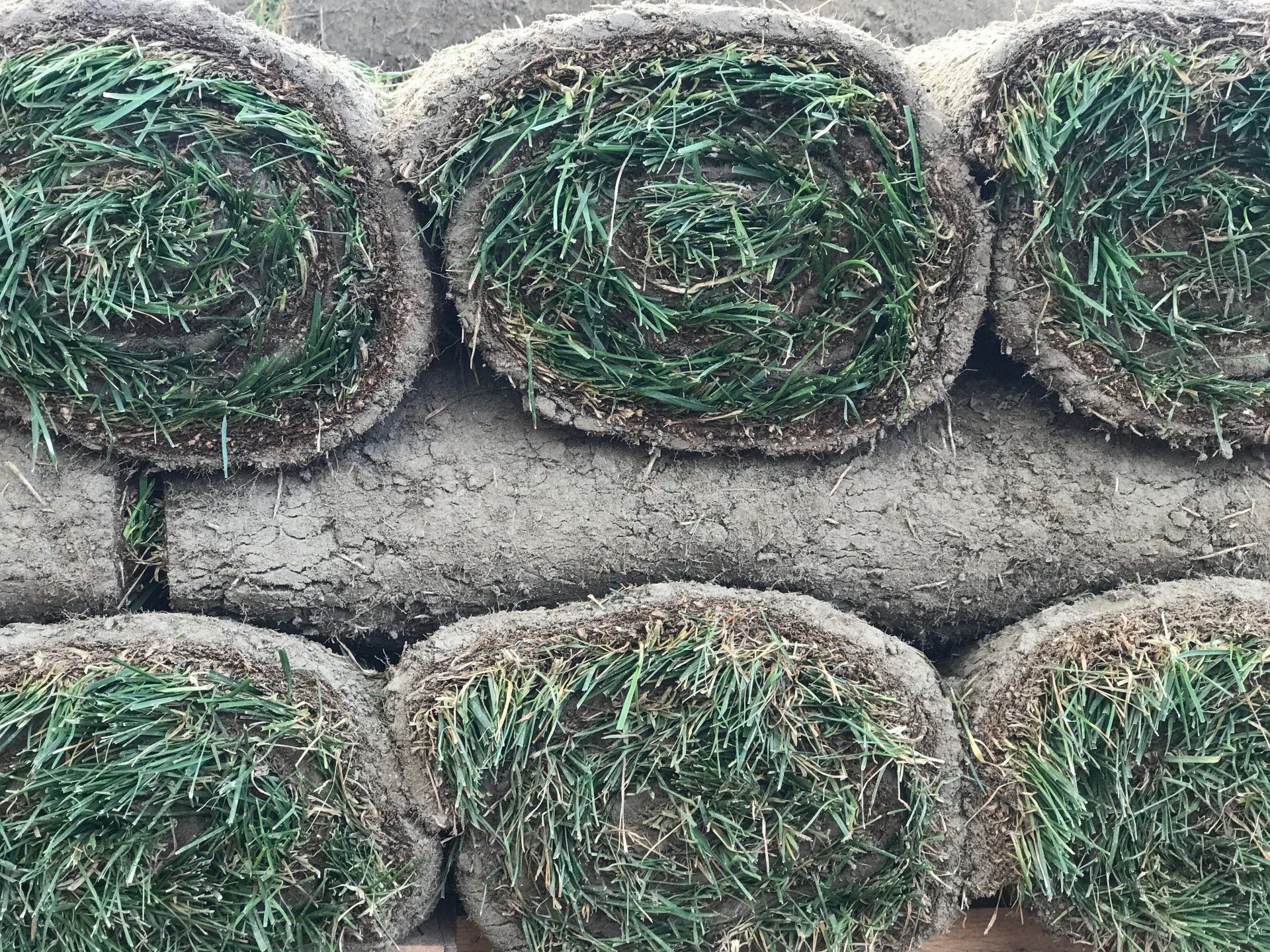 Sod Installation West Hartford, CT