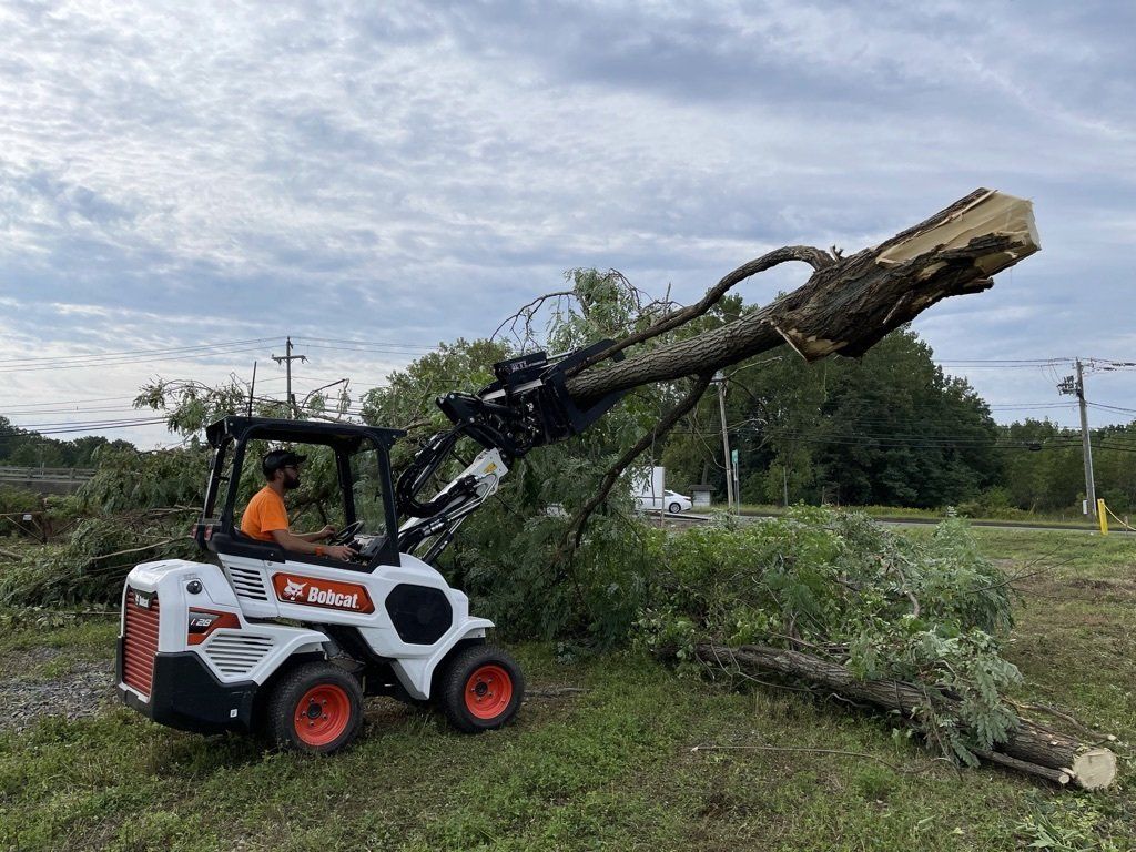 Land Clearing Newington Connecticut BobCat L28 Articulating Loader Tree Work
