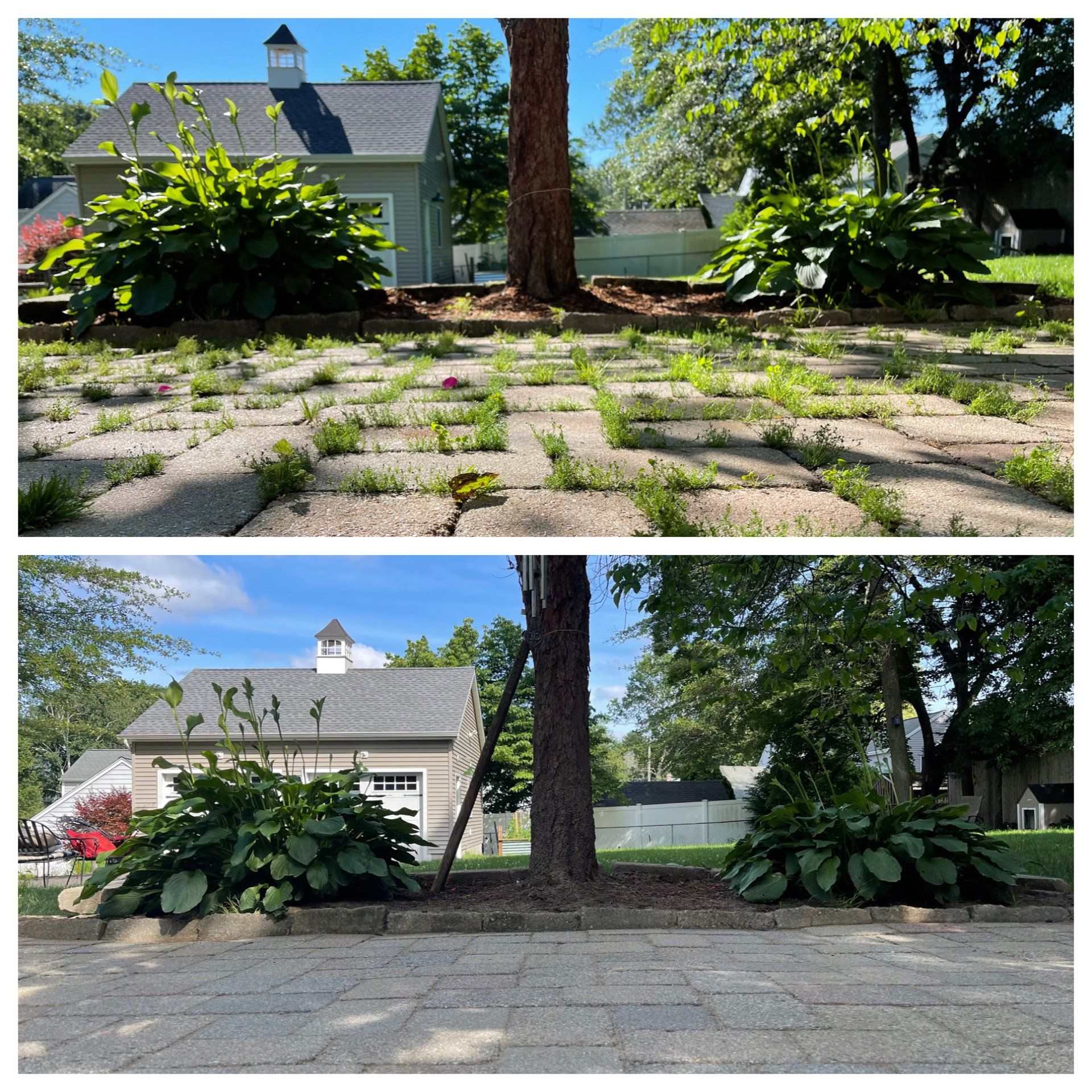Before & After Paver Patio Restoration Paver Sealing with Polymeric Sand West Hartford Connecticut