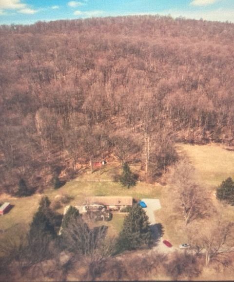 Wooded Area Image