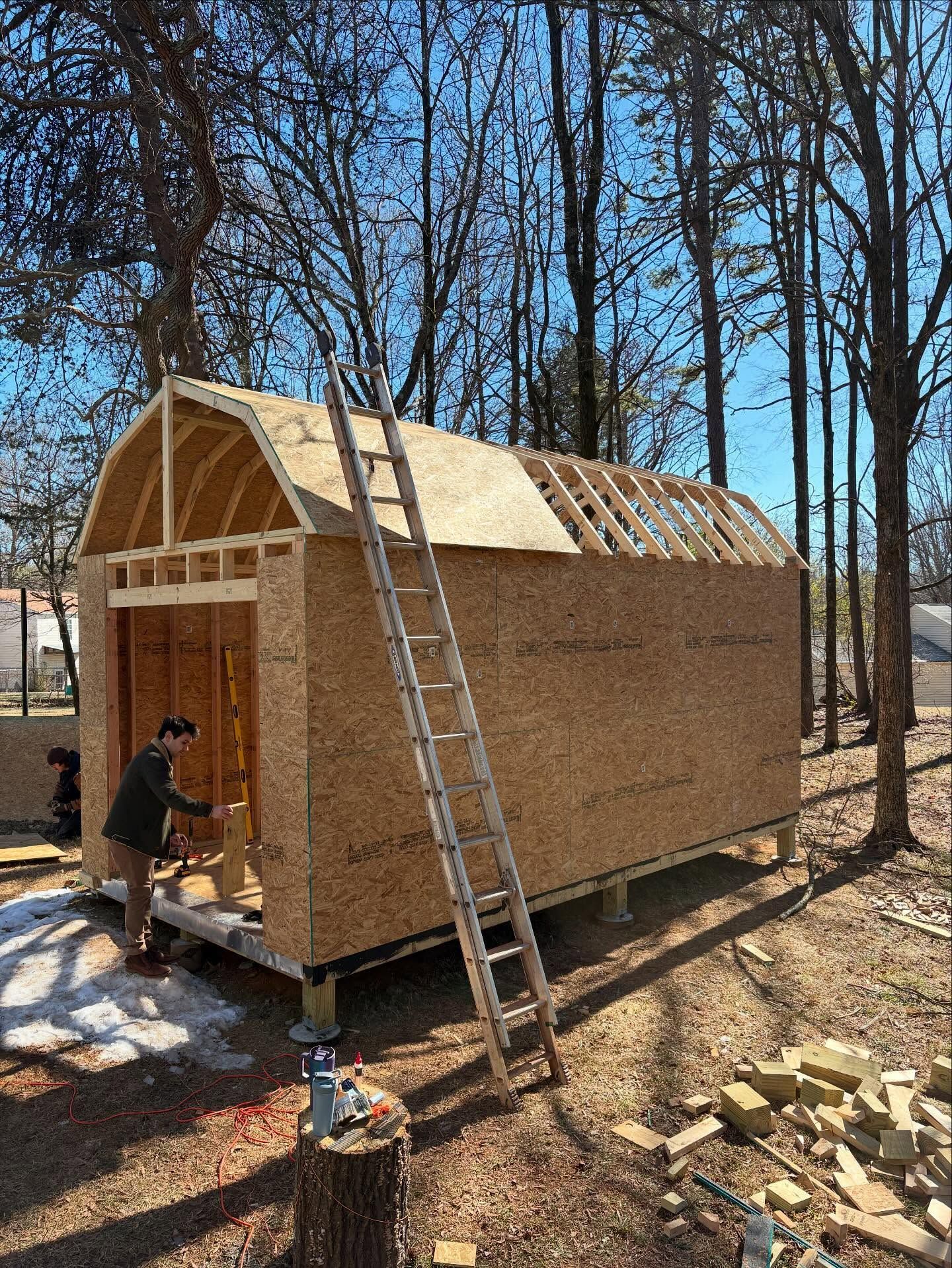 Person building a small wooden shed with a ladder outdoors among trees.